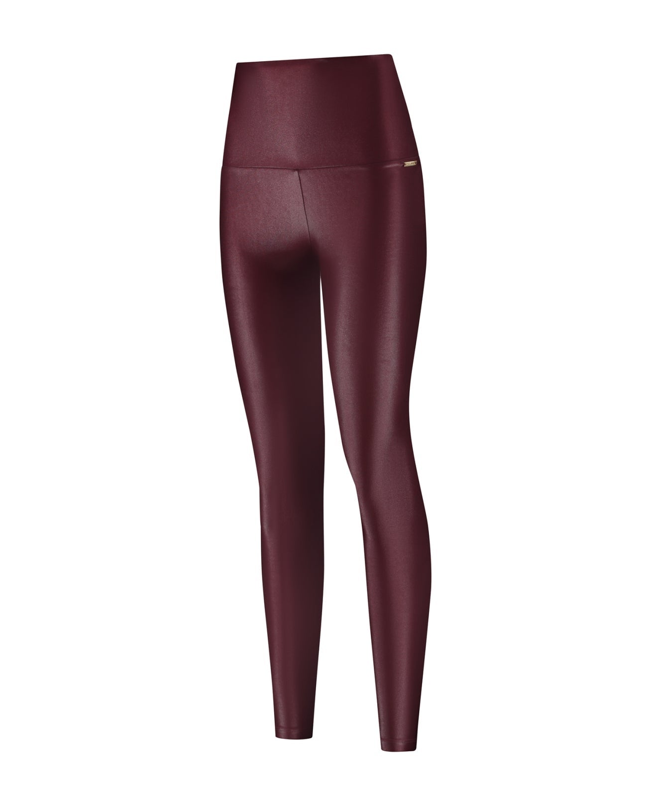 Shine Leggings High Waistband