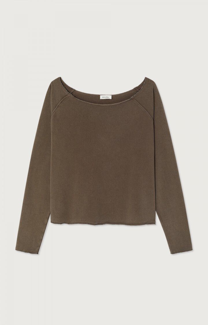 American Vintage Vibtown sweater in brunette vintage